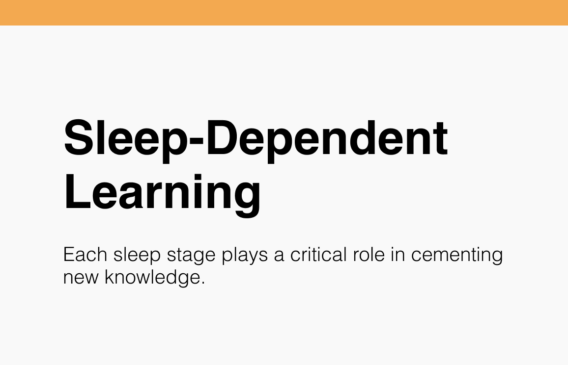 Sleep-Dependent Learning