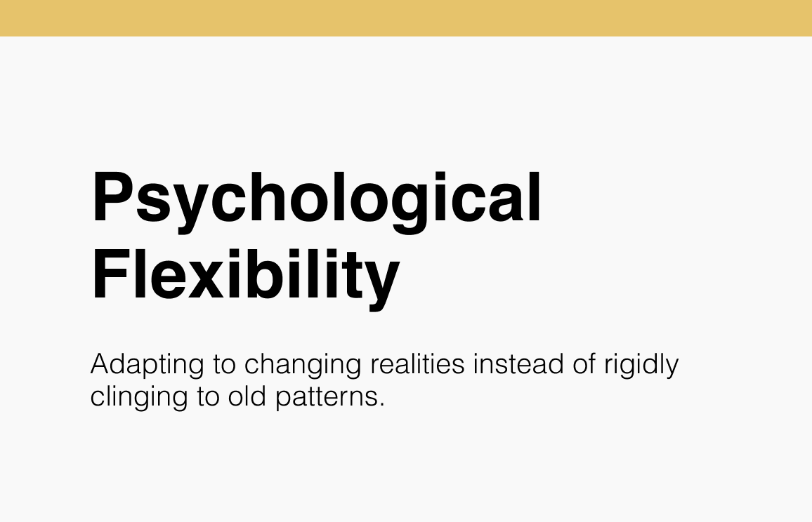 96 Psychological Flexibility